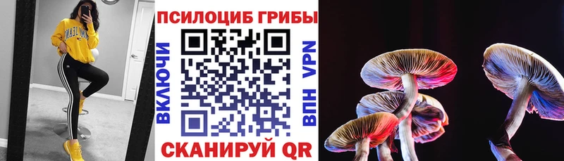 Псилоцибиновые грибы мицелий  MEGA сайт  Камбарка 